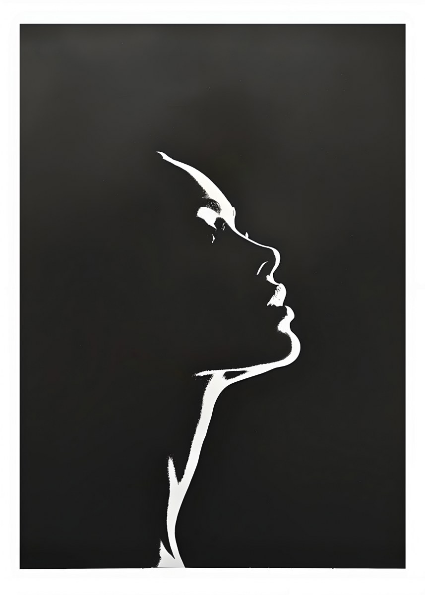 Silhouette: Contrast of Elegance